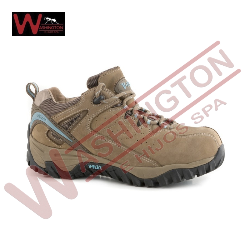 BOTIN SEGURIDAD FLEXV2