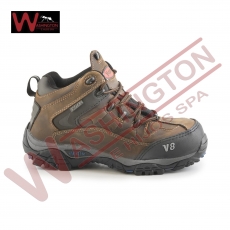 BOTIN SEGURIDAD V8